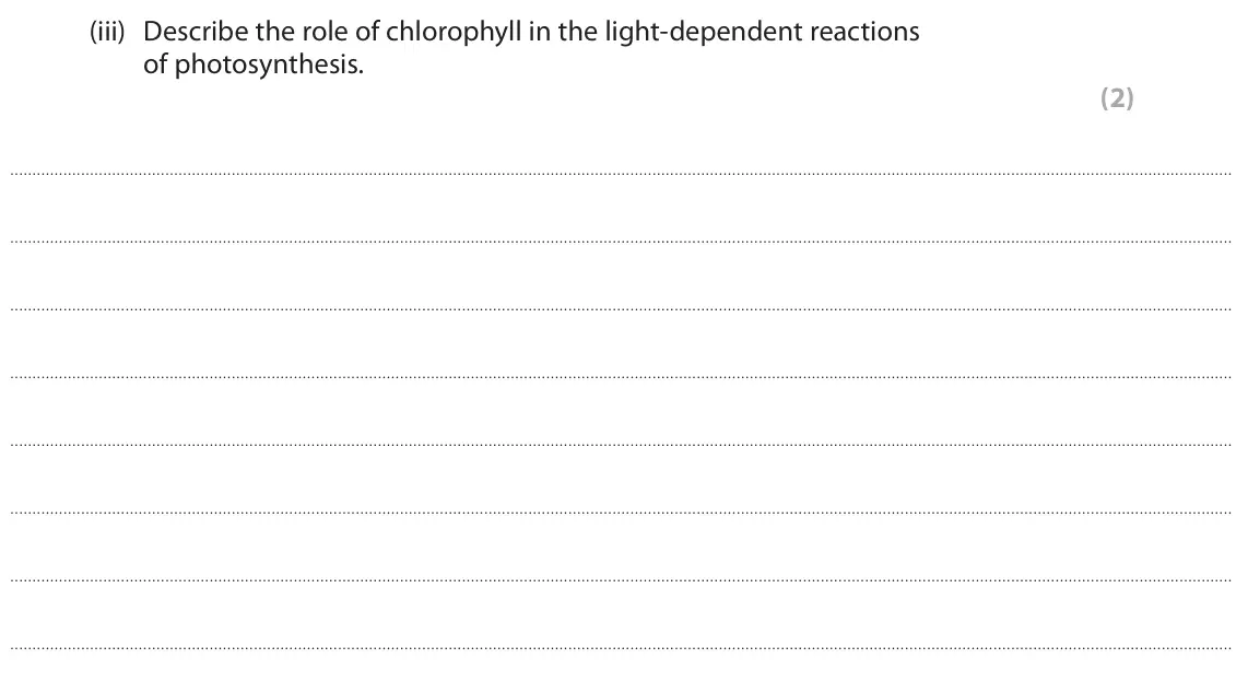 June 2024 Paper 3, question 3(a)(iii): Describe the role of chlorophyll in the light-dependent reactions of photosynthesis. (2)