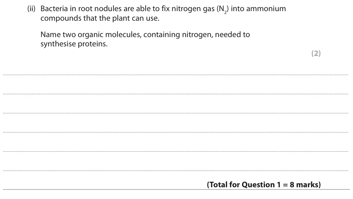 June 2025 Paper 3, question 1(b)(ii): Bacteria in root nodules are able to fix nitrogen gas (N2) into ammonium compounds that the plant can use. Name two organic molecules, containing nitrogen, need