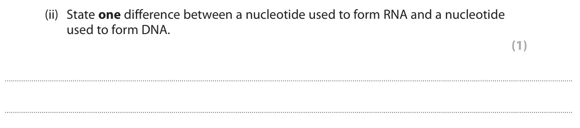 June 2025 Paper 3, question 4(a)(ii): State one difference between a nucleotide used to form RNA and a nucleotide used to form DNA. (1)