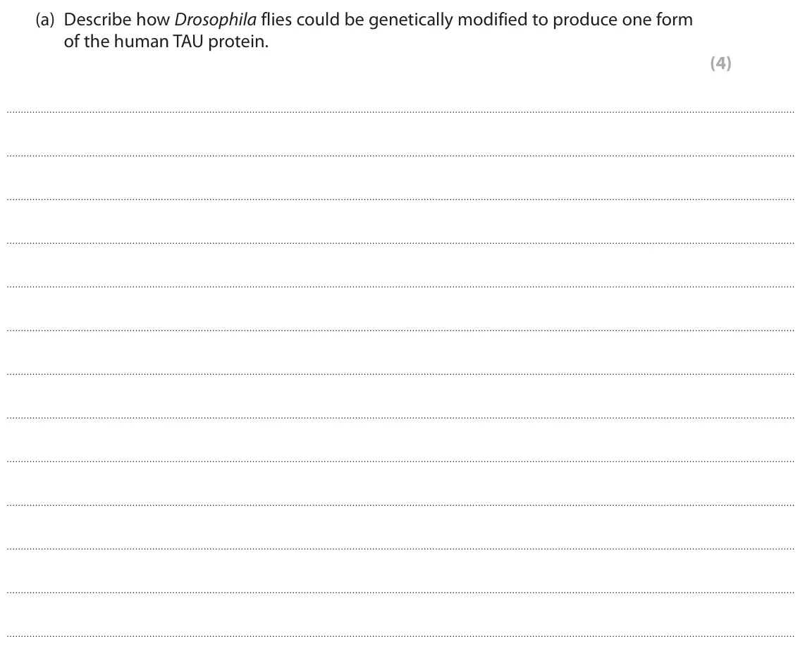 November 2021 Paper 3, question 6(a): Describe how Drosophila flies could be genetically modified to produce one form of the human TAU protein. (4)
