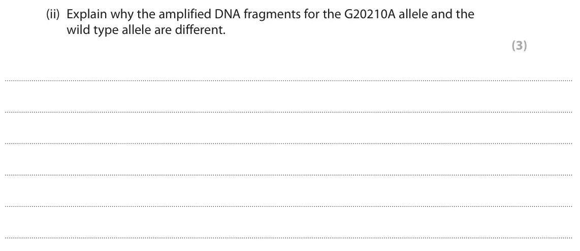October 2020 Paper 3, question 5(b)(ii): Explain why the amplified DNA fragments for the G20210A allele and the wild type allele are different. (3)