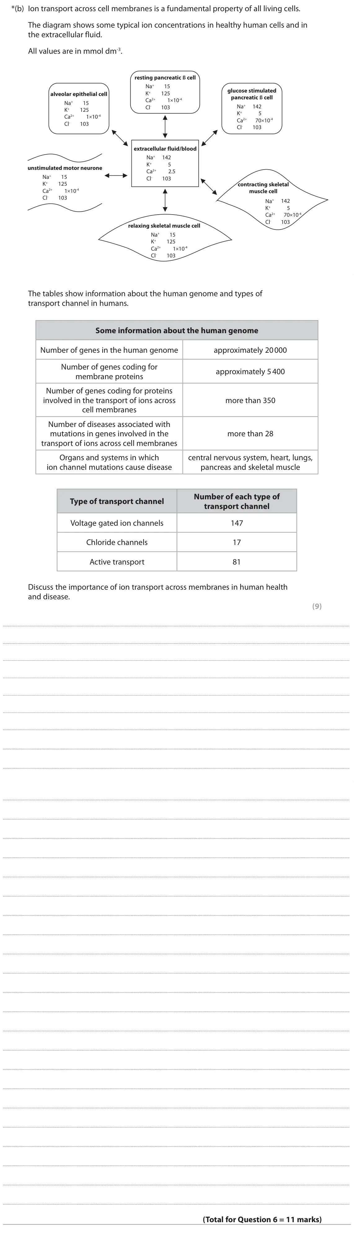 October 2020 Paper 3, question 6(b): Ion transport across cell membranes is a fundamental property of all living cells. The diagram shows some typical ion concentrations in healthy human cells and 