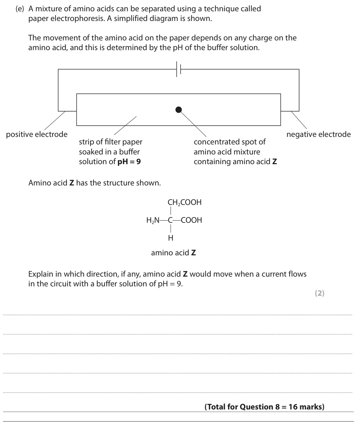 June 2024 Paper 2, question 8(e): A mixture of amino acids can be separated using a technique called paper electrophoresis. A simplified diagram is shown. The movement of the amino acid on the p