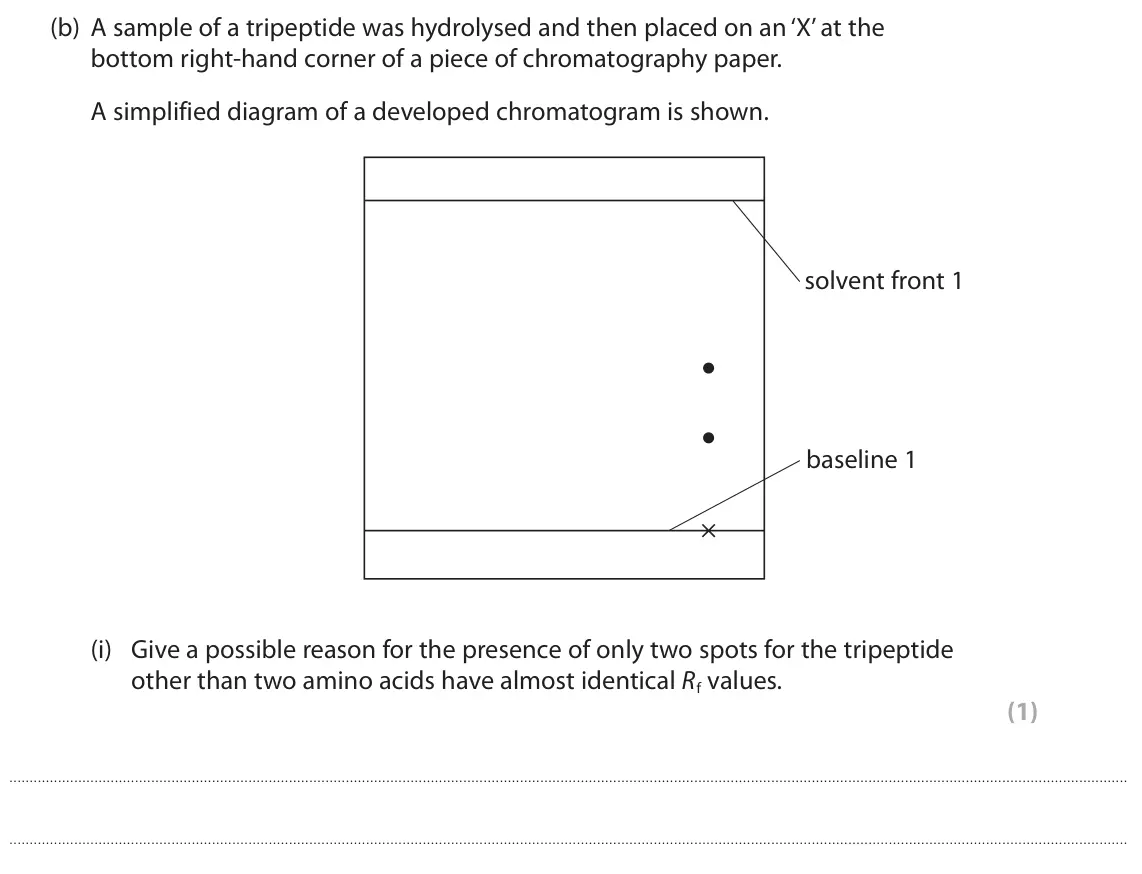 June 2023 Paper 3, question 6(b)(i): Give a possible reason for the presence of only two spots for the tripeptide other than two amino acids have almost identical Rf values. (1)