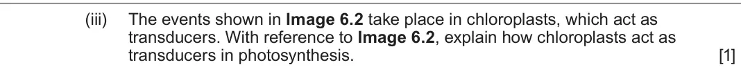 June 2022 Component 1, question 6(b)(iii): The events shown in Image 6.2 take place in chloroplasts, which act as transducers. With reference to Image 6.2, explain how chloroplasts act as transducers in 