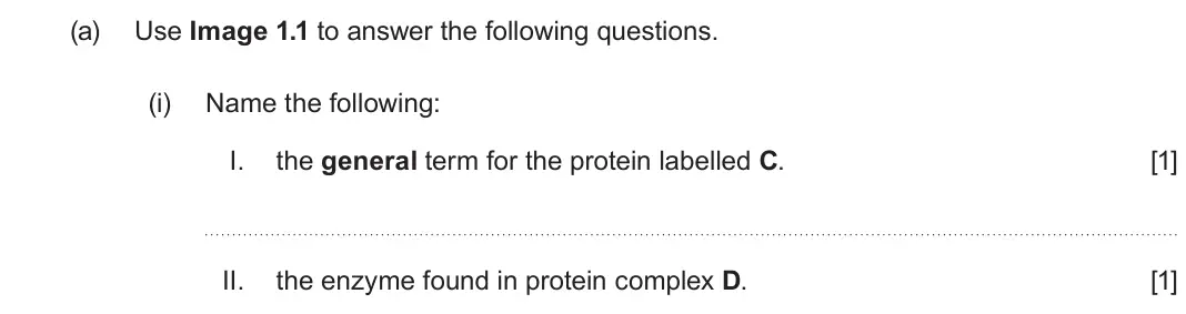 June 2023 Component 1, question 1(a)(i): Name the following: I. the general term for the protein labelled C. [1] II. the enzyme found in protein complex D. [1]