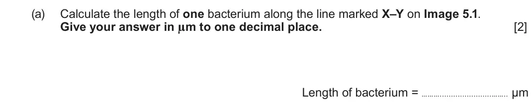 June 2023 Component 1, question 5(a): Calculate the length of one bacterium along the line marked X–Y on Image 5.1. Give your answer in µm to one decimal place. [2] Length of bacterium = ……… …….. µm