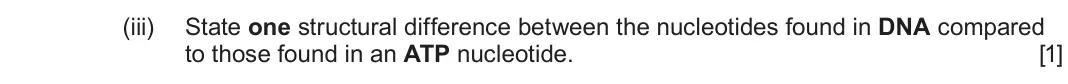 June 2024 Component 1, question 1(a)(iii): State one structural difference between the nucleotides found in DNA compared to those found in an ATP nucleotide. [1]