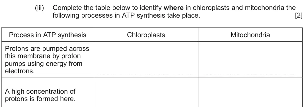 June 2024 Component 1, question 1(b)(iii): Complete the table below to identify where in chloroplasts and mitochondria the following processes in ATP synthesis take place. [2] Process in ATP synthesis C