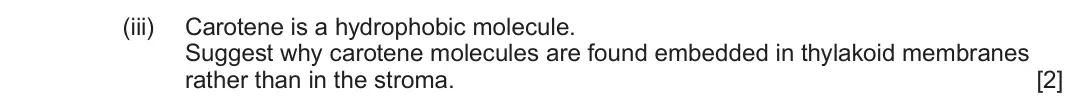 June 2024 Component 1, question 4(a)(iii): Carotene is a hydrophobic molecule. Suggest why carotene molecules are found embedded in thylakoid membranes rather than in the stroma. [2]