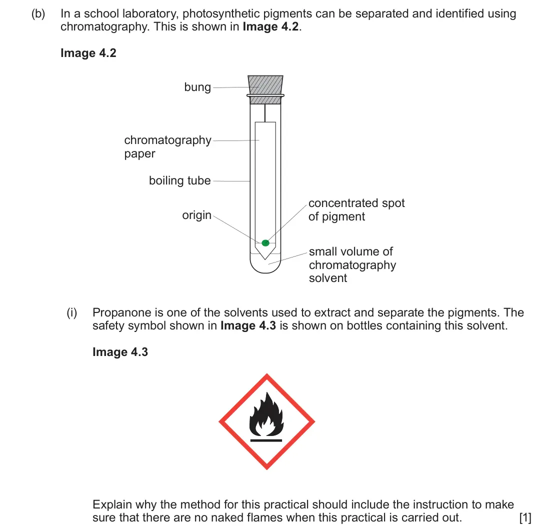 June 2024 Component 1, question 4(b)(i): Propanone is one of the solvents used to extract and separate the pigments. The safety symbol shown in Image 4.3 is shown on bottles containing this solvent. Im