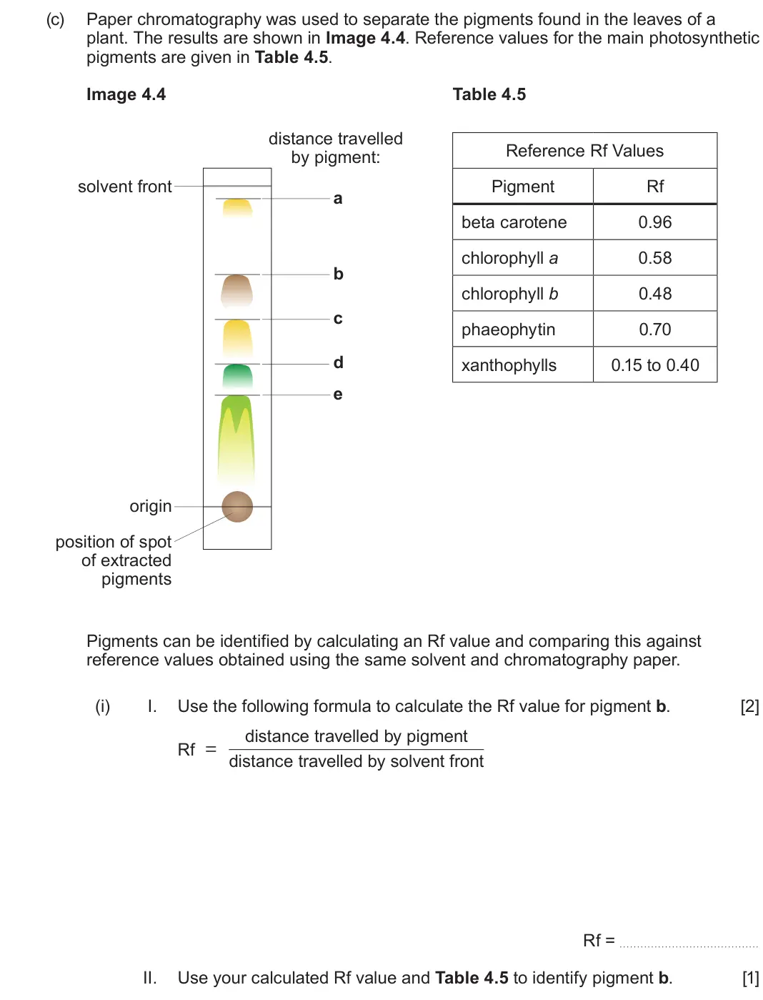 June 2024 Component 1, question 4(c)(i): I. Use the following formula to calculate the Rf value for pigment b.  [2] distance travelled by pigment Rf = distance travelled by solvent front Rf = II. Use 