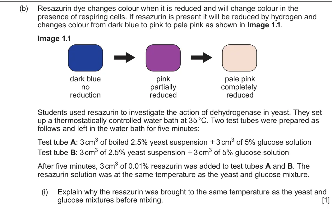 June 2025 Component 1, question 1(b)(i): Explain why the resazurin was brought to the same temperature as the yeast and glucose mixtures before mixing. [1]