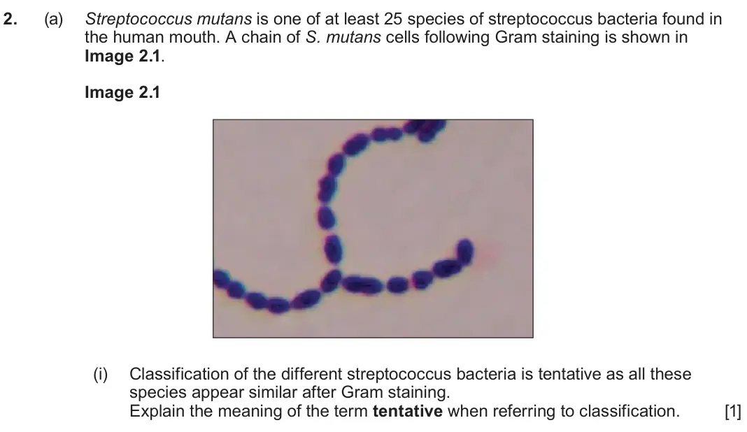 June 2025 Component 1, question 2(a)(i): Classification of the different streptococcus bacteria is tentative as all these species appear similar after Gram staining. Explain the meaning of the term ten