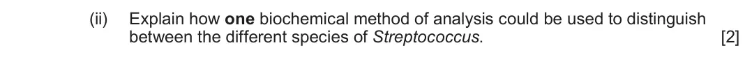 June 2025 Component 1, question 2(a)(ii): Explain how one biochemical method of analysis could be used to distinguish between the different species of Streptococcus. [2]