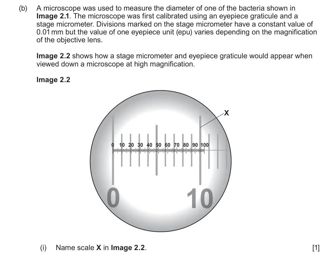 June 2025 Component 1, question 2(b)(i): Name scale X in Image 2.2. [1]
