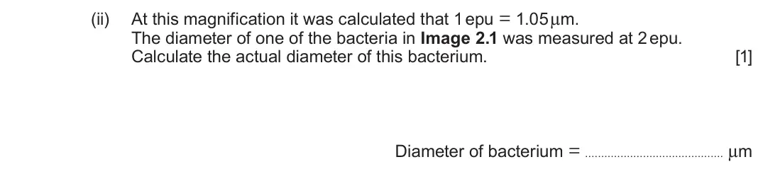 June 2025 Component 1, question 2(b)(ii): At this magnification it was calculated that 1 epu = 1.05 μm. The diameter of one of the bacteria in Image 2.1 was measured at 2 epu. Calculate the actual diame