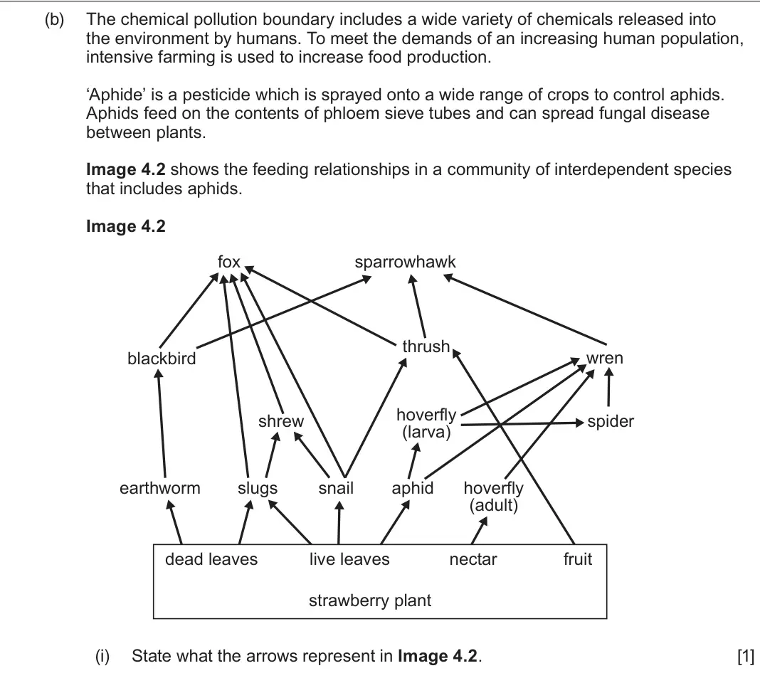 June 2025 Component 1, question 4(b)(i): State what the arrows represent in Image 4.2 [1]