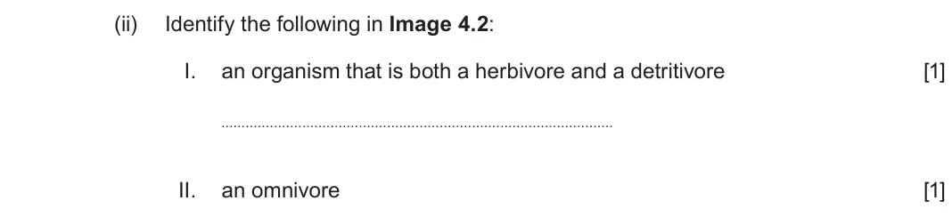 June 2025 Component 1, question 4(b)(ii): Identify the following in Image 4.2: I. an organism that is both a herbivore and a detritivore [1] II. an omnivore [1]