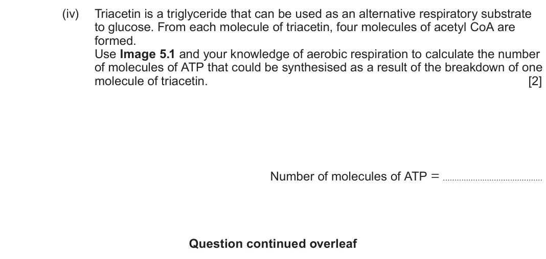 June 2025 Component 1, question 5(a)(iv): Triacetin is a triglyceride that can be used as an alternative respiratory substrate to glucose. From each molecule of triacetin, four molecules of acetyl CoA a