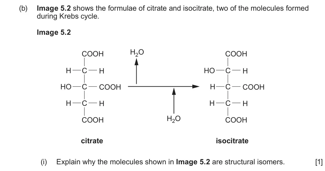 June 2025 Component 1, question 5(b)(i): Explain why the molecules shown in Image 5.2 are structural isomers. [1]