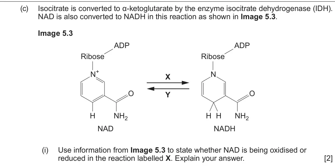June 2025 Component 1, question 5(c)(i): Use information from Image 5.3 to state whether NAD is being oxidised or reduced in the reaction labelled X. Explain your answer. [2]