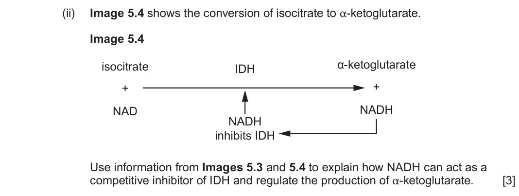 June 2025 Component 1, question 5(c)(ii): Image 5.4 isocitrate α-ketoglutarate IDH + + NAD NADH NADH inhibits IDH Use information from Images 5.3 and 5.4 to explain how NADH can act as a competitive inh
