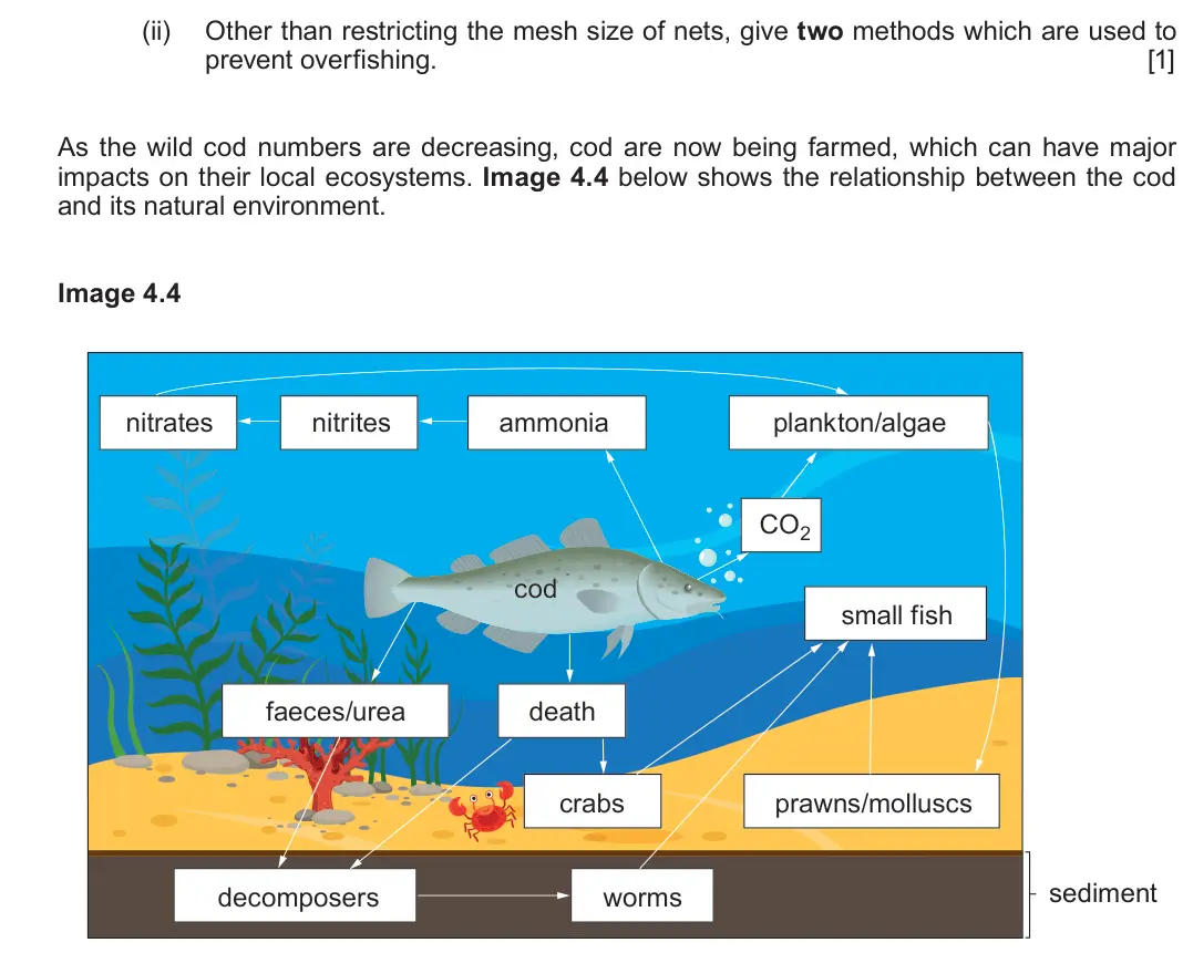 Autumn 2020 Component 1, question 4(b)(ii): Other than restricting the mesh size of nets, give two methods which are used to prevent overfishing. [1] As the wild cod numbers are decreasing, cod are now be