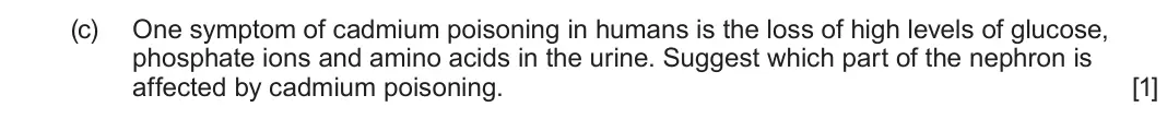 June 2022 Component 2, question 4(c): One symptom of cadmium poisoning in humans is the loss of high levels of glucose, phosphate ions and amino acids in the urine. Suggest which part of the nephron