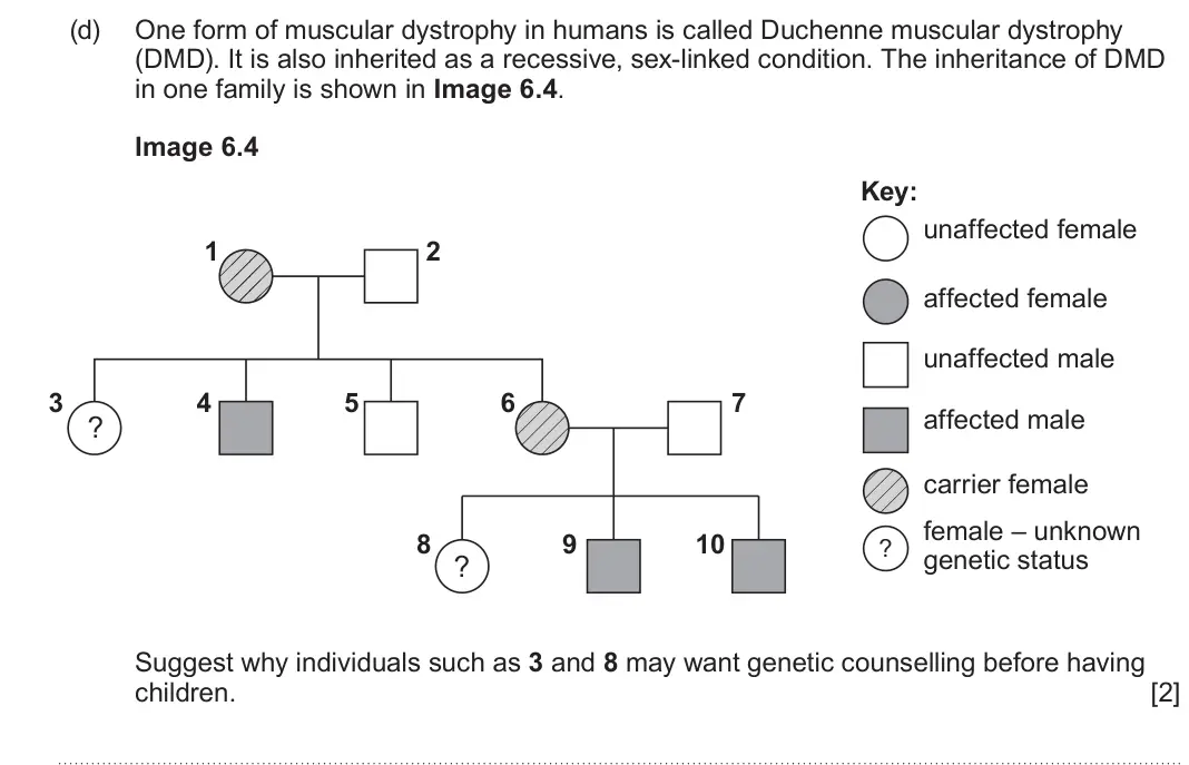 June 2022 Component 2, question 6(d): One form of muscular dystrophy in humans is called Duchenne muscular dystrophy (DMD). It is also inherited as a recessive, sex-linked condition. The inheritance