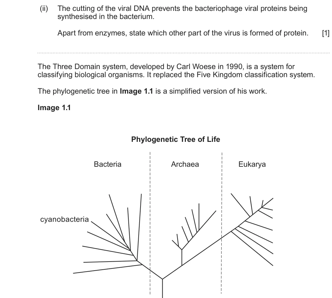 June 2023 Component 2, question 1(a)(ii): The cutting of the viral DNA prevents the bacteriophage viral proteins being synthesised in the bacterium. Apart from enzymes, state which other part of the vir
