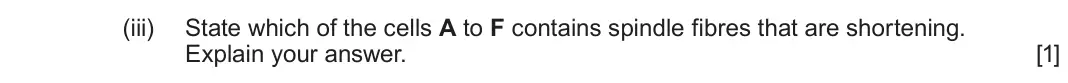 June 2023 Component 2, question 2(b)(iii): State which of the cells A to F contains spindle fibres that are shortening. Explain your answer. [1]