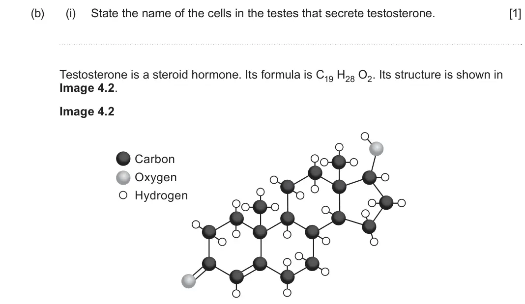 June 2023 Component 2, question 4(b)(i): State the name of the cells in the testes that secrete testosterone. [1] Testosterone is a steroid hormone. Its formula is C19 H28 O2. Its structure is shown in