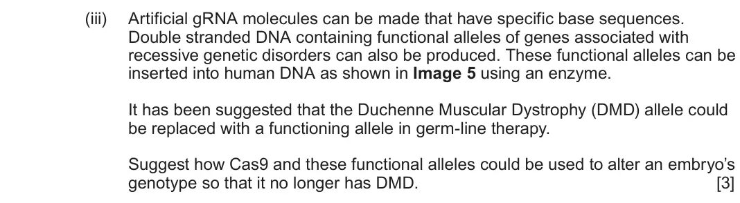 June 2023 Component 2, question 5(a)(iii): Artificial gRNA molecules can be made that have specific base sequences. Double stranded DNA containing functional alleles of genes associated with recessive ge