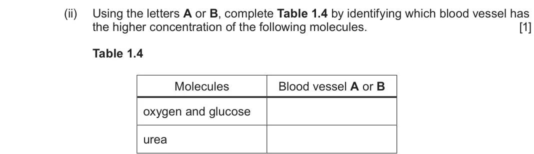 June 2024 Component 2, question 1(c)(ii): Using the letters A or B, complete Table 1.4 by identifying which blood vessel has the higher concentration of the following molecules.  [1] Table 1.4 Molecule