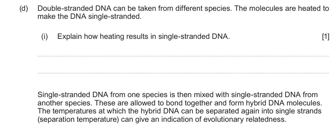 June 2024 Component 2, question 2(d)(i): Explain how heating results in single-stranded DNA. [1] Single-stranded DNA from one species is then mixed with single-stranded DNA from another species. These