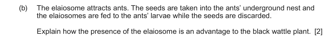 June 2024 Component 2, question 5(b): The elaiosome attracts ants. The seeds are taken into the ants’ underground nest and the elaiosomes are fed to the ants’ larvae while the seeds are discarded. E