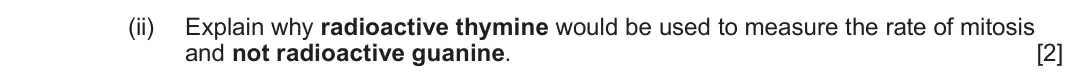 June 2024 Component 2, question 6(d)(ii): Explain why radioactive thymine would be used to measure the rate of mitosis and not radioactive guanine. [2]