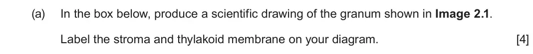 June 2025 Component 2, question 2(a): In the box below, produce a scientific drawing of the granum shown in Image 2.1. Label the stroma and thylakoid membrane on your diagram. [4]