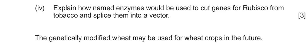 June 2025 Component 2, question 2(b)(iv): Explain how named enzymes would be used to cut genes for Rubisco from tobacco and splice them into a vector. [3] The genetically modified wheat may be used for 