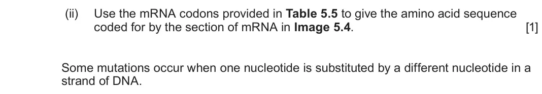 June 2025 Component 2, question 5(d)(ii): Use the mRNA codons provided in Table 5.5 to give the amino acid sequence coded for by the section of mRNA in Image 5.4. [1] Some mutations occur when one nucle