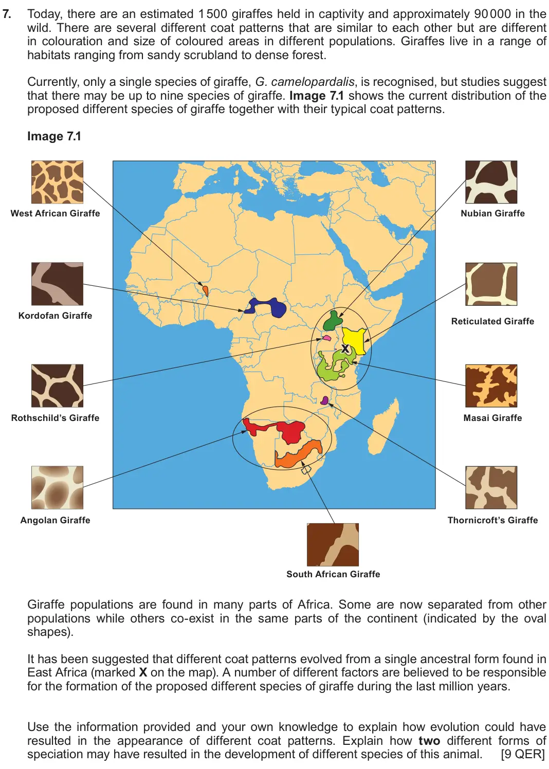 Autumn 2020 Component 2, question 7: Today, there are an estimated 1 500 giraffes held in captivity and approximately 90 000 in the wild. There are several different coat patterns that are similar 