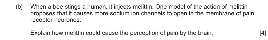 June 2022 Component 3, question 1(b): When a bee stings a human, it injects melittin. One model of the action of melittin proposes that it causes more sodium ion channels to open in the membrane of
