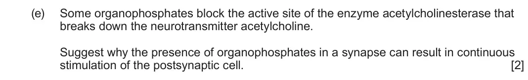 June 2023 Component 3, question 5(e): Some organophosphates block the active site of the enzyme acetylcholinesterase that breaks down the neurotransmitter acetylcholine. Suggest why the presence of