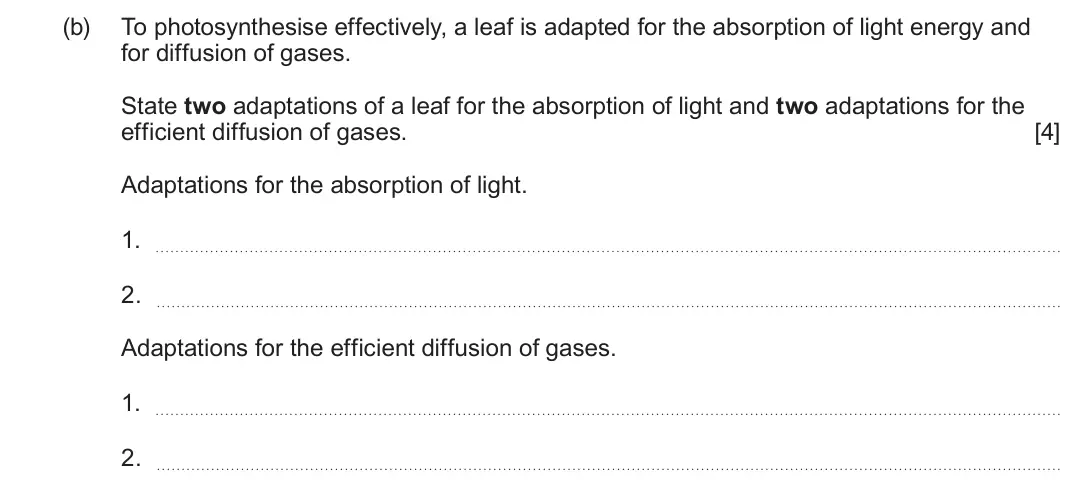 June 2024 Component 3, question 1(b): To photosynthesise effectively, a leaf is adapted for the absorption of light energy and for diffusion of gases. State two adaptations of a leaf for the absorpt