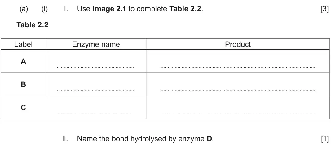 June 2024 Component 3, question 2(a)(i): I. Use Image 2.1 to complete Table 2.2. [3] Table 2.2 Label Enzyme name Product A B C II. Name the bond hydrolysed by enzyme D. [1]