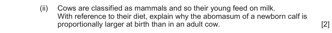June 2024 Component 3, question 2(c)(ii): Cows are classified as mammals and so their young feed on milk. With reference to their diet, explain why the abomasum of a newborn calf is proportionally large