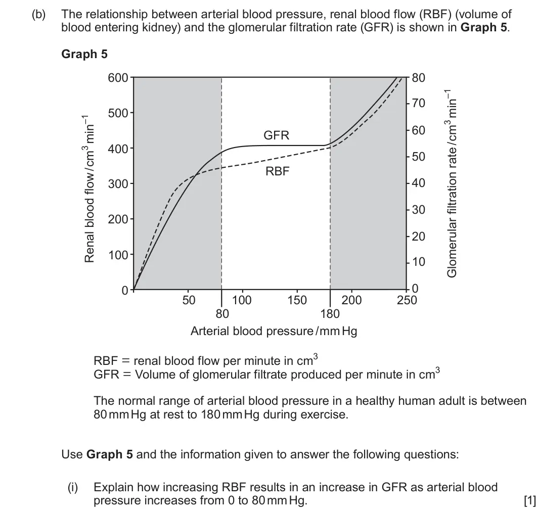 June 2024 Component 3, question 5(b)(i): Explain how increasing RBF results in an increase in GFR as arterial blood pressure increases from 0 to 80 mm Hg. [1]