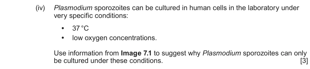 June 2024 Component 3, question 7(b)(iv): Plasmodium sporozoites can be cultured in human cells in the laboratory under very specific conditions: • 37°C • low oxygen concentrations. Use information from