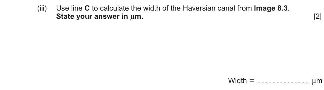 June 2024 Component 3, question 8(b)(iii): Use line C to calculate the width of the Haversian canal from Image 8.3. State your answer in µm. [2] Width = µm